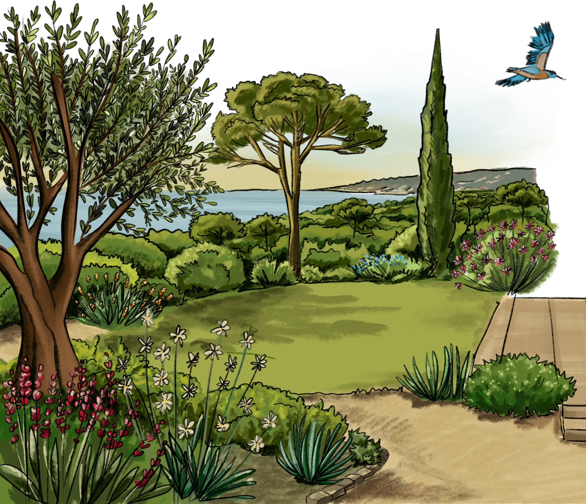 Inspirations — jardin illustré