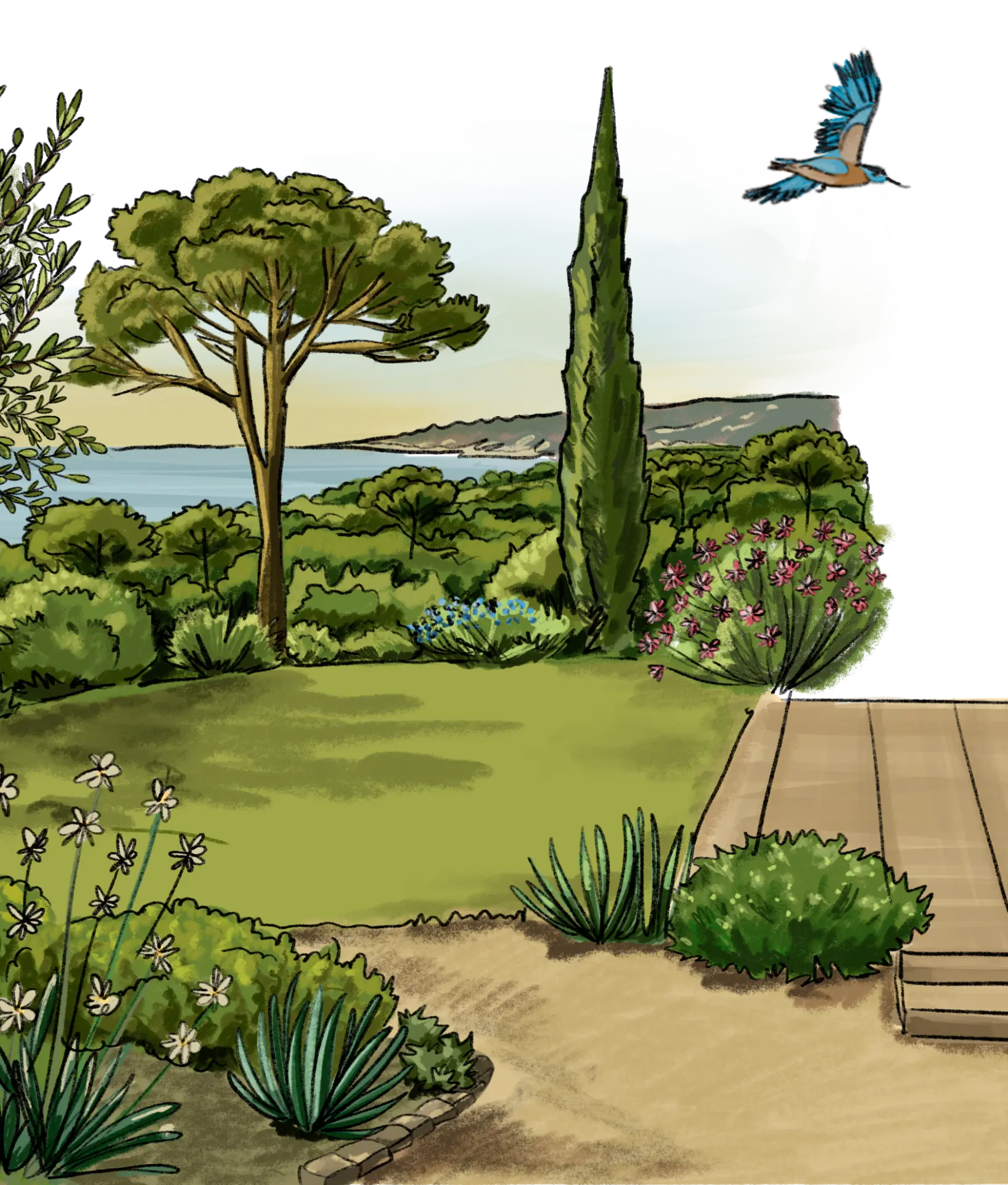 Inspirations — jardin illustré